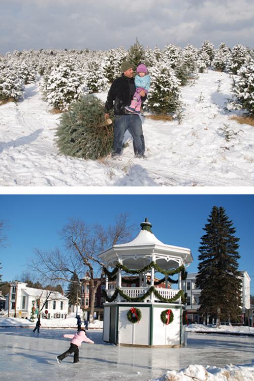 The Rocks Tree Farm and Ice Skating on the town common